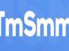 Tmsmm